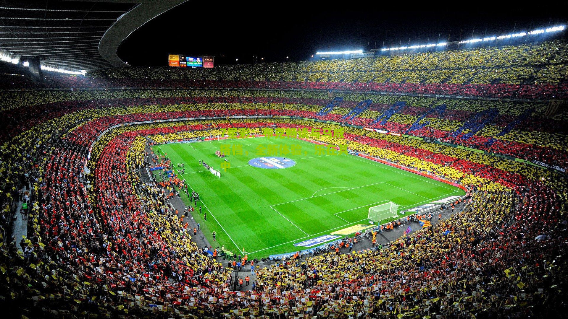 布克畅谈与马威搭档,全新体验,乐在其中