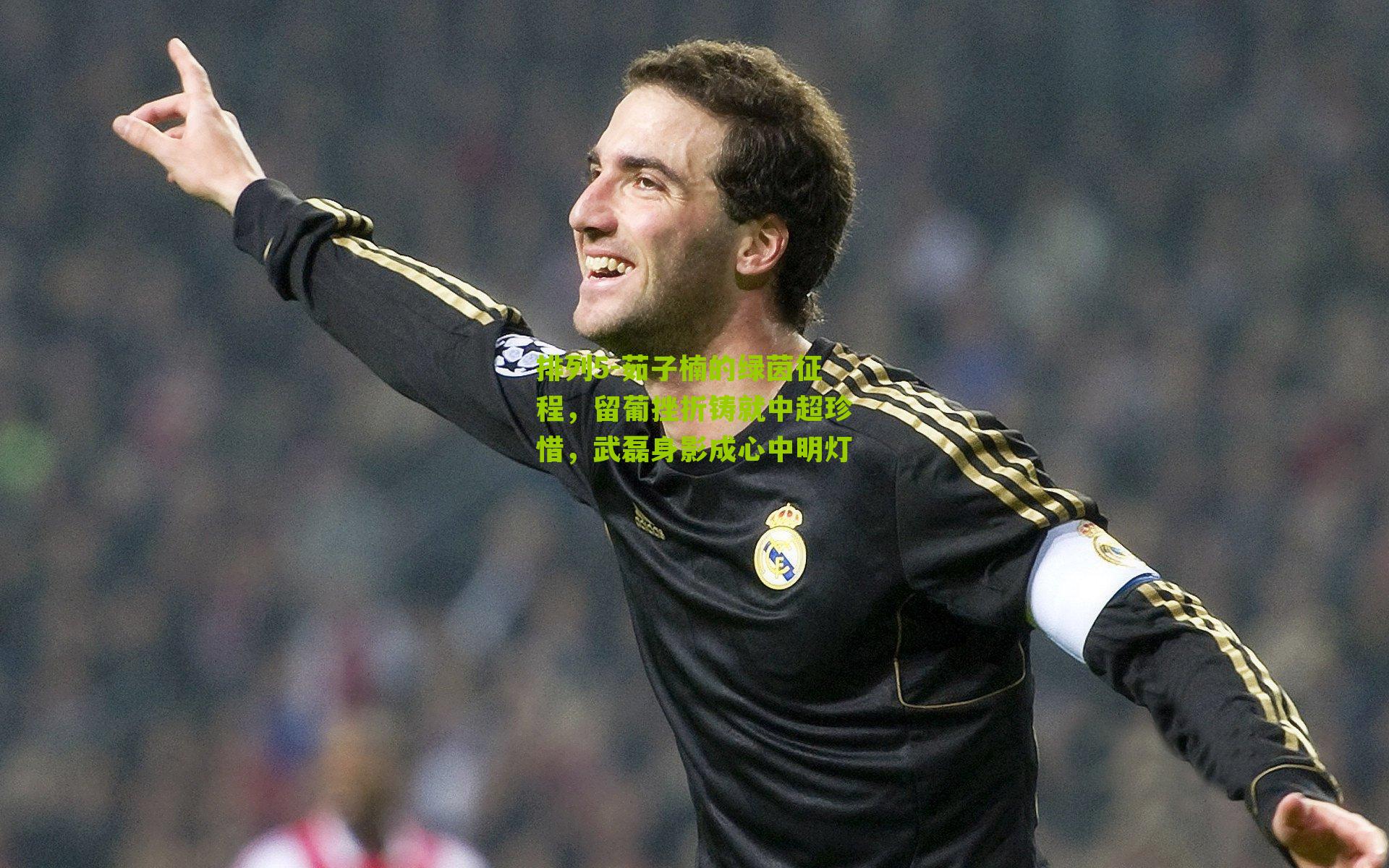 茹子楠的绿茵征程，留葡挫折铸就中超珍惜，武磊身影成心中明灯