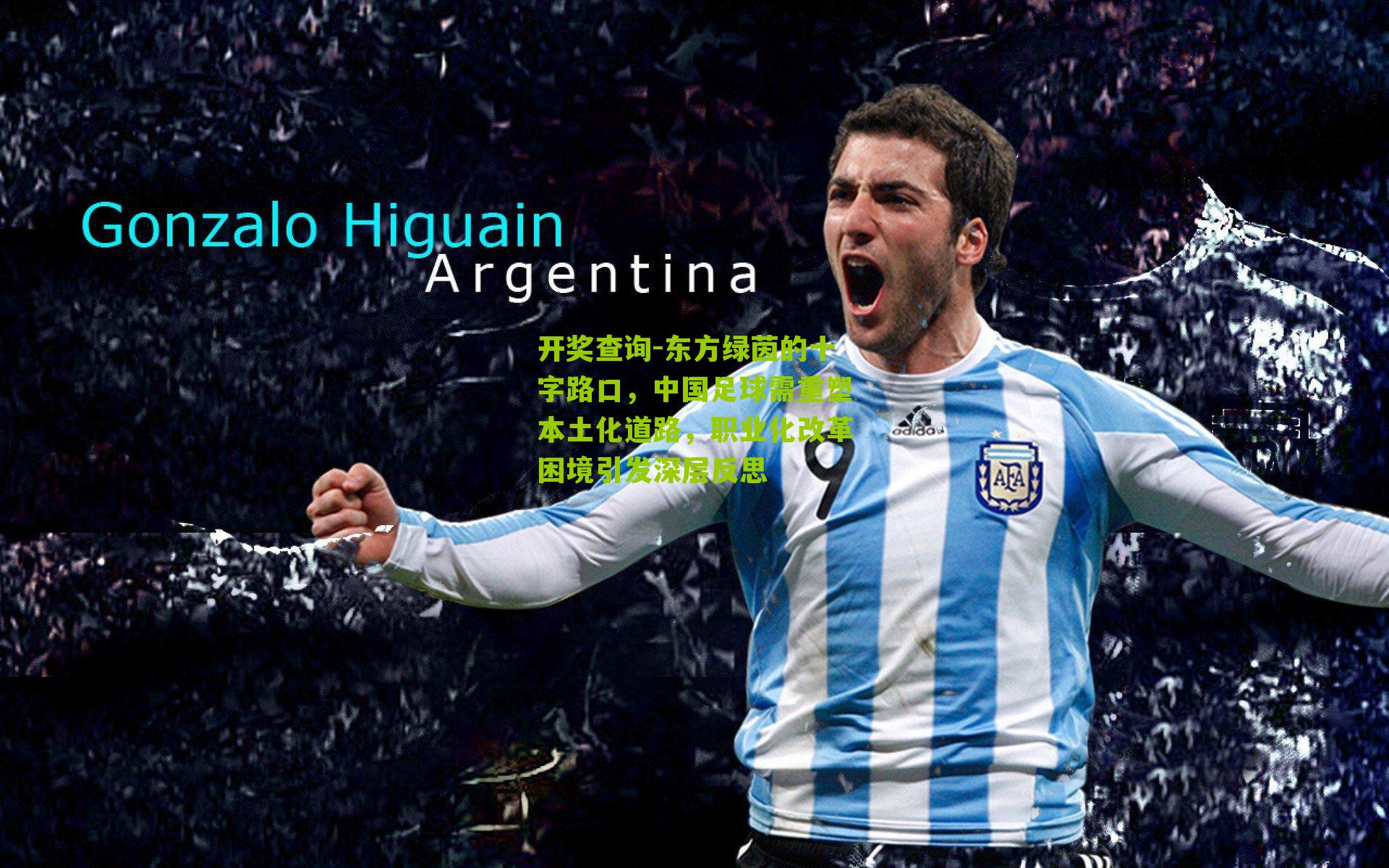 开奖查询-东方绿茵的十字路口，中国足球需重塑本土化道路，职业化改革困境引发深层反思